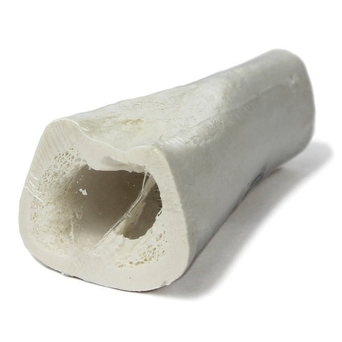 The Natural Dog Company  5" White Bone Dog Treat - Poudre Pet and Feed Supply